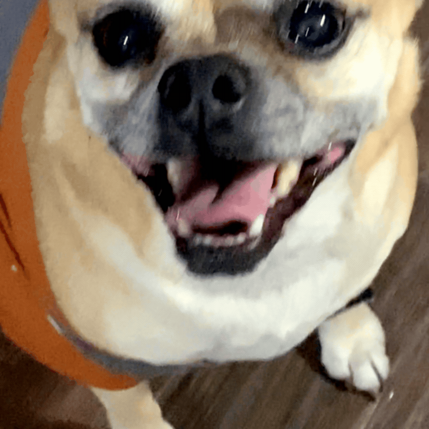 Oskar